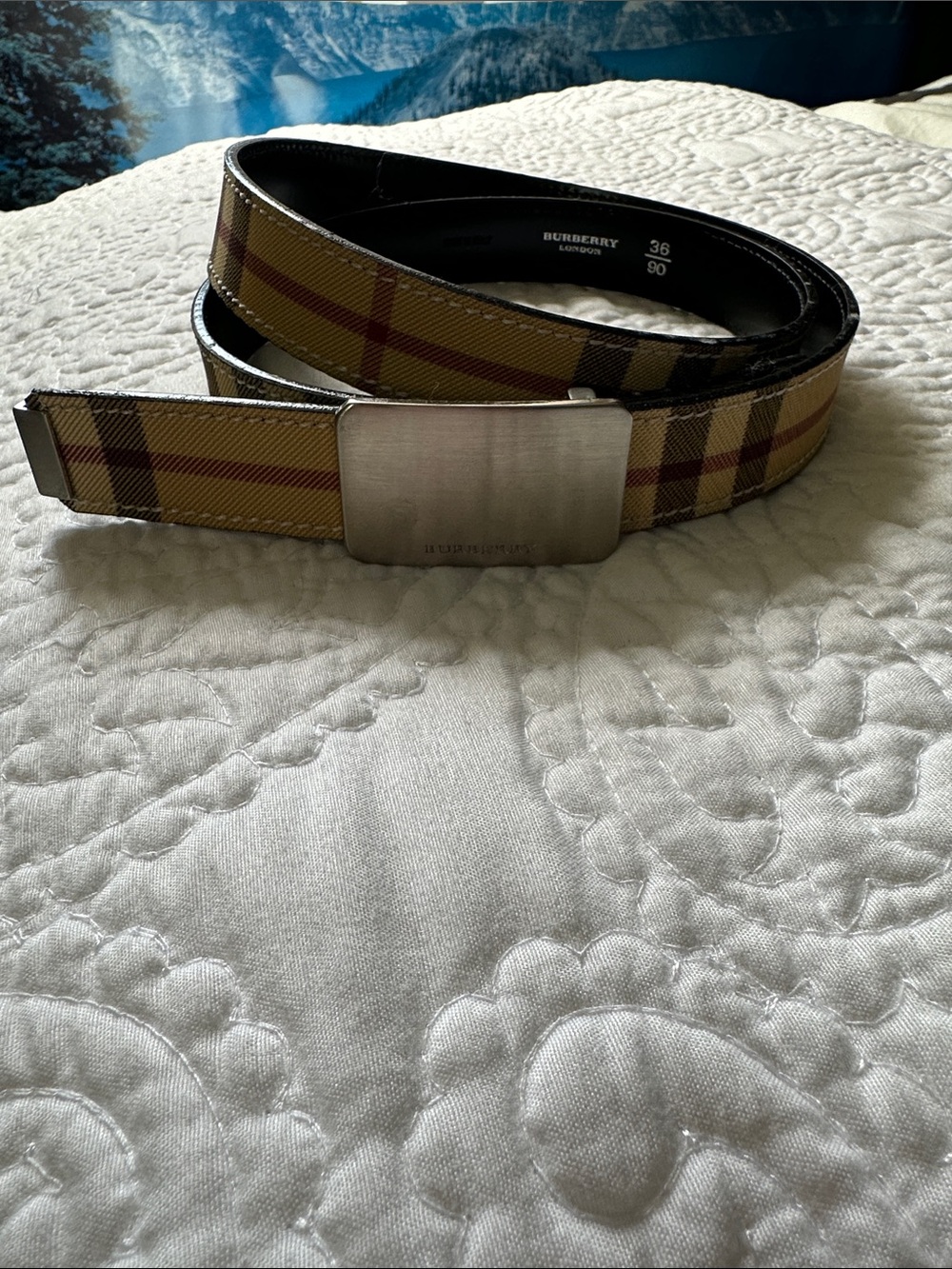 Burberry Vintage Check Leather Belt in Beige and Black with Silver Buckle - Picture 5 of 6
